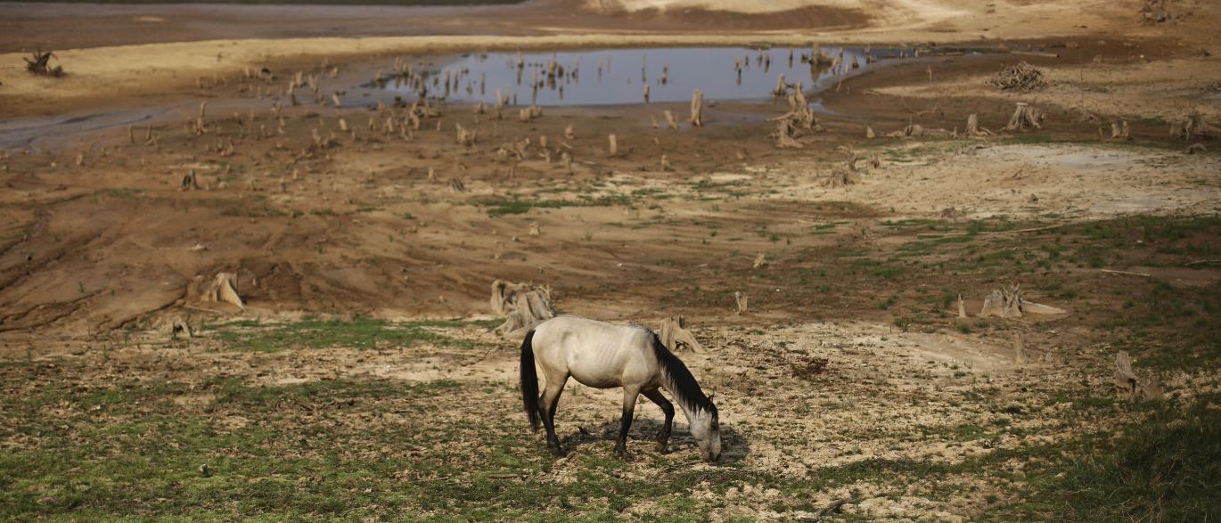 Pernambuco estão em situação de emergência por seca