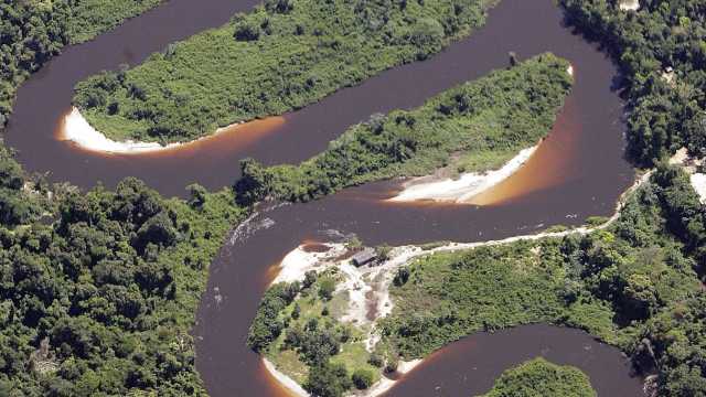 MPF ingressa com 757 ações por desmatamento ilegal na Amazônia