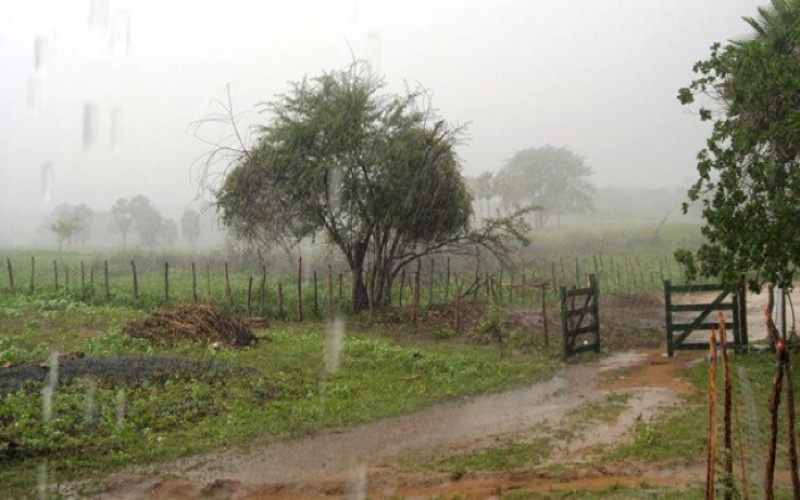 Funceme registra chuva em 50 municípios nas últimas 24 horas no Ceará