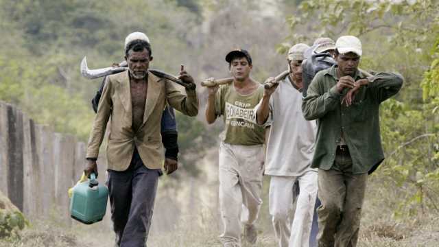 Brasil avança no combate ao trabalho escravo