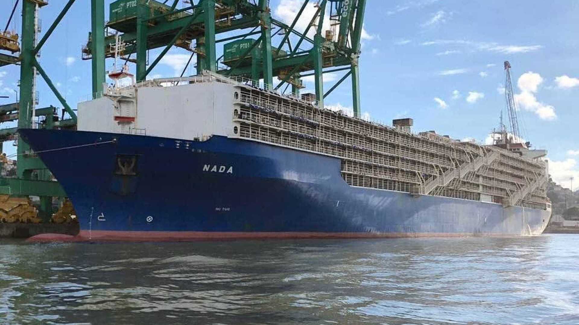 Justiça concede liminar e navio deixa Porto de Santos com 25 mil bois