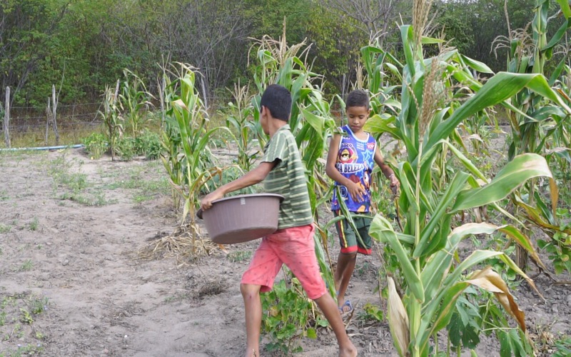 Fortalecimento da agricultura familiar será tema de seminário no Cariri