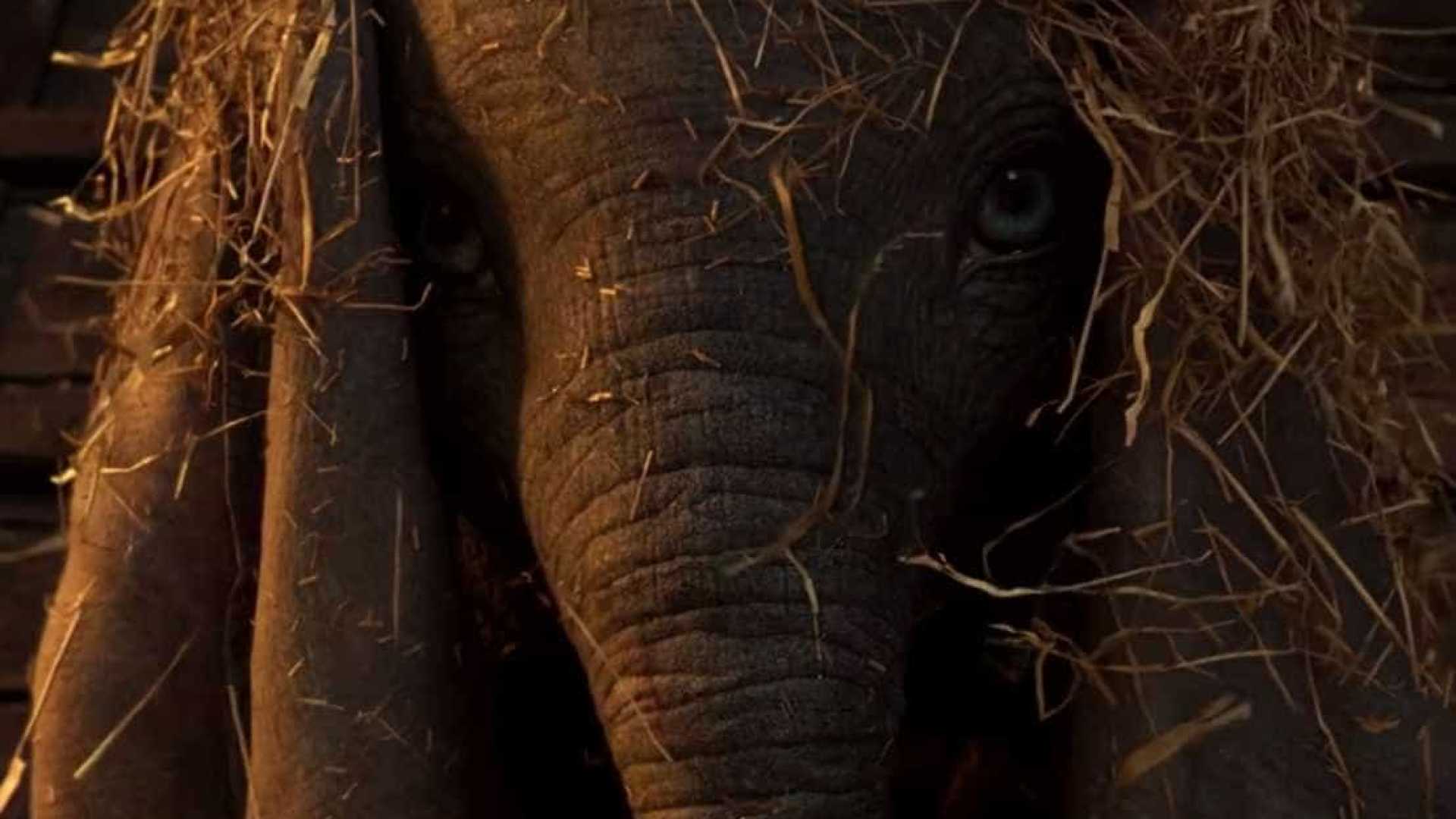 Nova versão de ‘Dumbo’, clássico da Disney, ganha 1º trailer