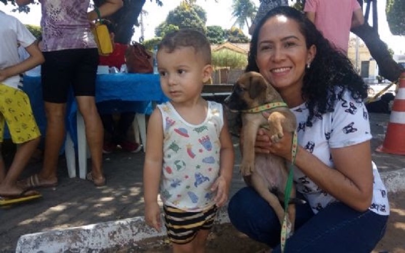 Em Juazeiro do Norte mais de 25 animais adotados em 4º evento de adoção do CCZ