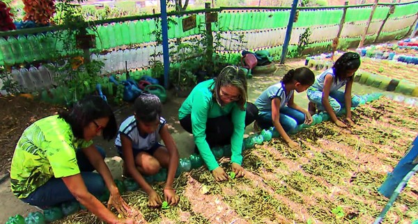 Projeto Verdejando semeia ações para conscientizar população sobre cuidados com meio ambiente