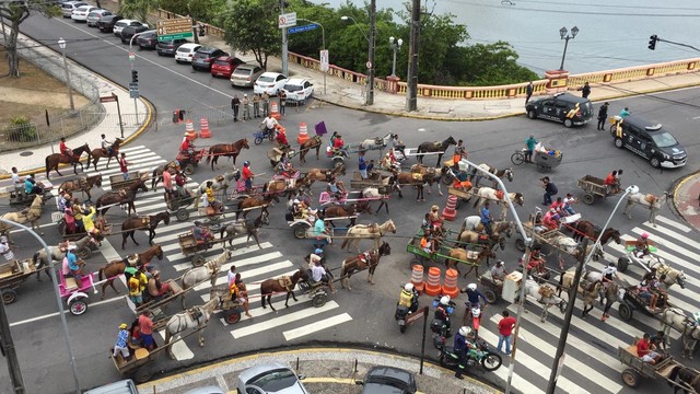 Carroceiros protestam contra lei que proíbe circulação de veículos com tração animal nas ruas do Recife