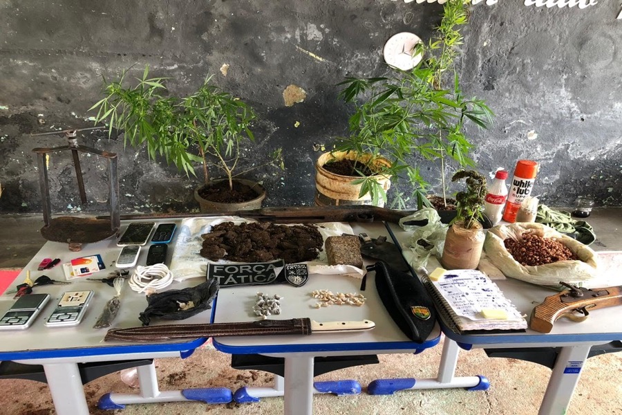 Plantação de maconha é apreendida dentro de cadeia, um dia após fuga de 23 detentos