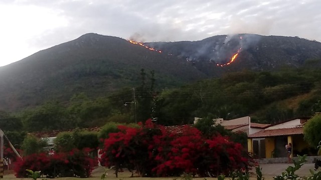 Incêndio atinge serra em Jaguarari, no norte da Bahia