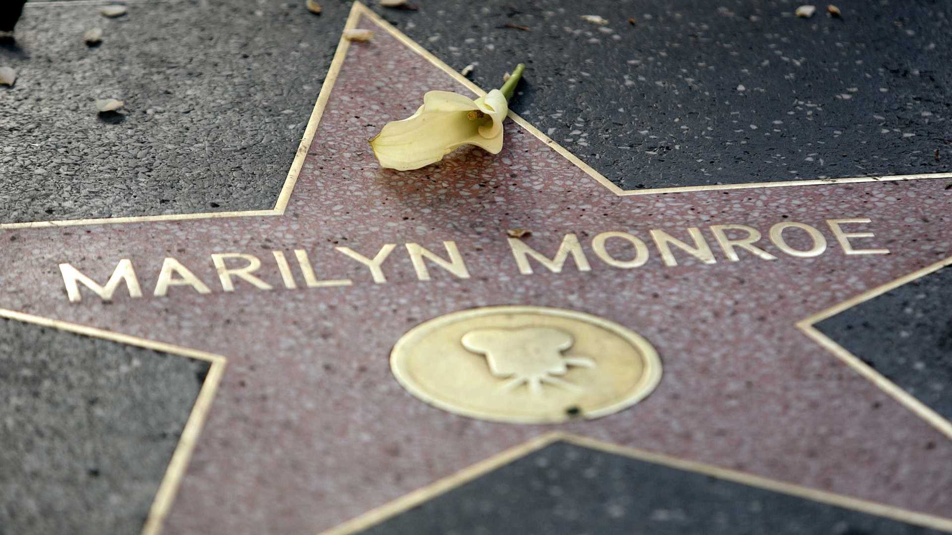 Mecha de cabelo de Marilyn Monroe está à venda por R$ 51,6 mil