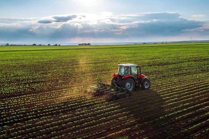 Agroamigo supera marca de  R$ 15 bilhões aplicados na Região