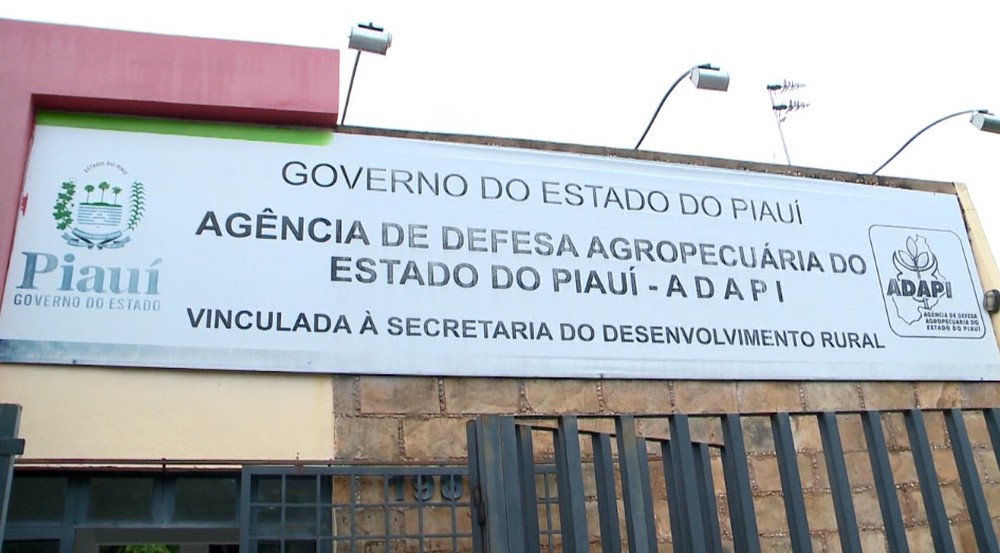 Adapi flagra carnes roídas por ratos em estabelecimento da Zona Leste de Teresina