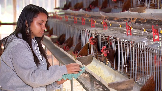 Abertas as inscrições para curso técnico gratuito em agronegócio com 160 vagas