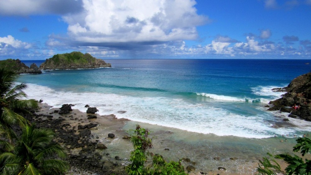 Instituto alerta para perigo de tubarão em praias de Noronha após baleia aparecer morta