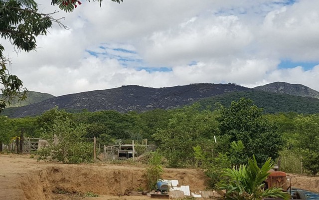 Incêndio atinge serra em Jacobina, no norte da BA; área do tamanho de 40 campos de futebol foi destruída, diz secretaria