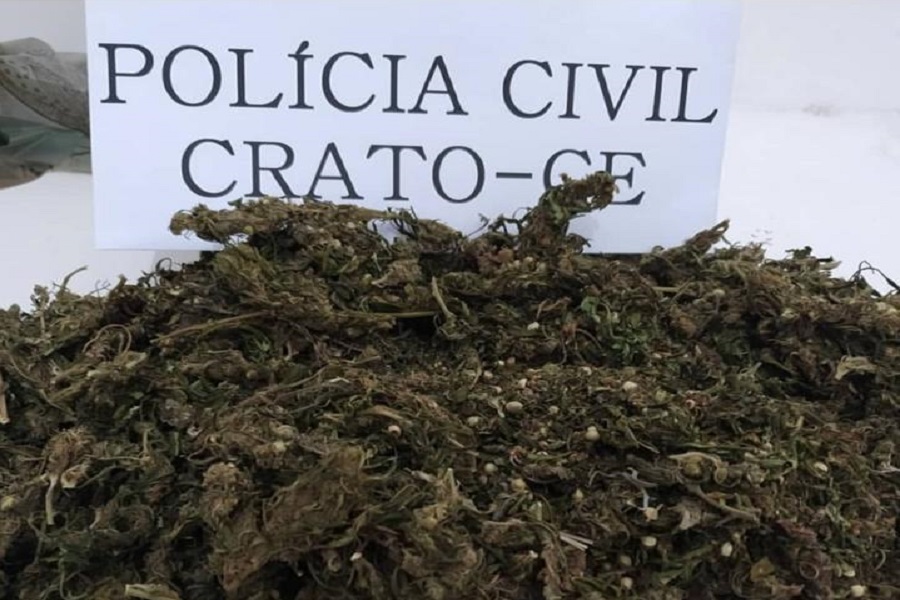 Mais de 400 g de maconha foi apreendida pela Polícia Civil em Crato-CE