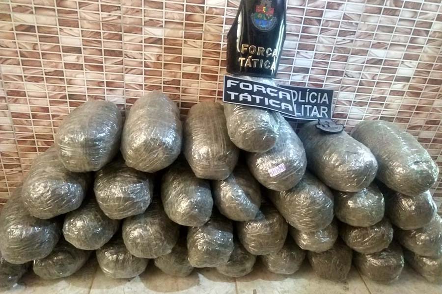 30 Kg de maconha é apreendido pela polícia em imóvel abandonado em Juazeiro do Norte-CE