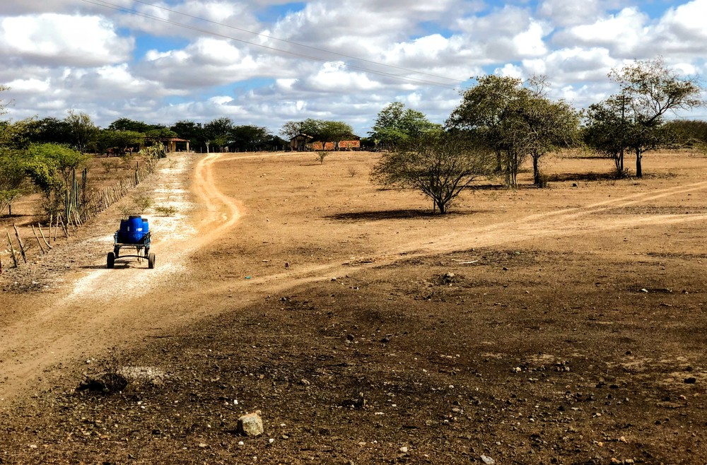 Alagoas tem 39 municípios em situação de emergência por causa da seca