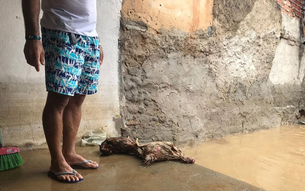 Vídeo mostra casa de mulher destruída após barragem romper e água invadir cidade na BA: ‘Vi e corri’