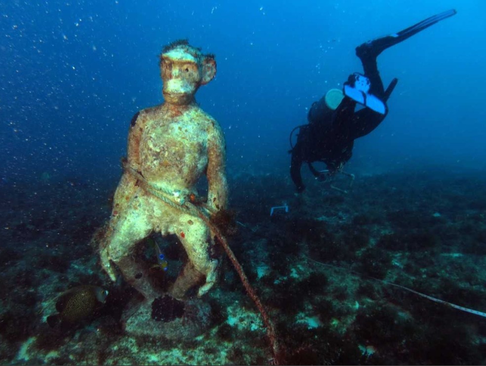 Pesquisadores encontram estátua de macaco em Parque Marinho de Fortaleza