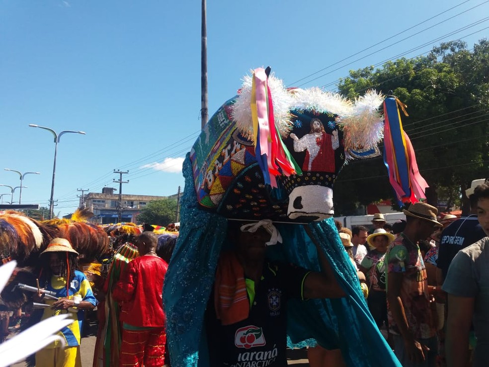 Grupos de bumba-meu-boi fazem desfile em homenagem a São Marçal