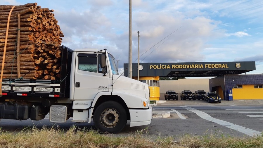 Caminhão transportando madeira ilegal é apreendido na BR- 116, no interior do Ceará