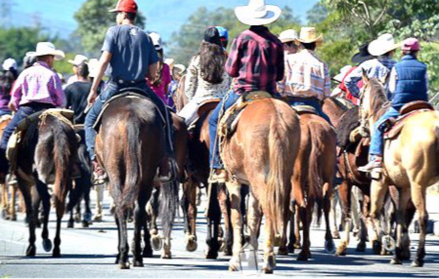 3ª Cavalgada Mãe das Dores acontecerá no próximo sábado, 31 em Juazeiro do Norte