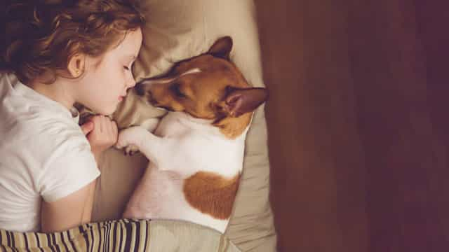 Dormir na mesma cama com um cão faz mal à saúde?