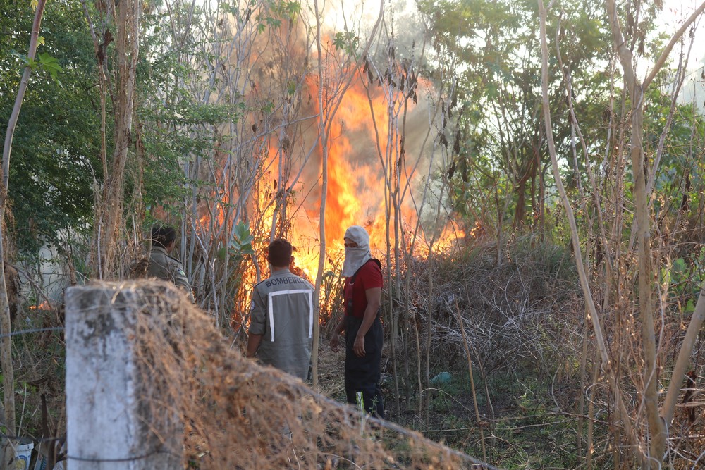 Em agosto, Bombeiros do Piauí triplicaram atendimentos a casos de queimadas