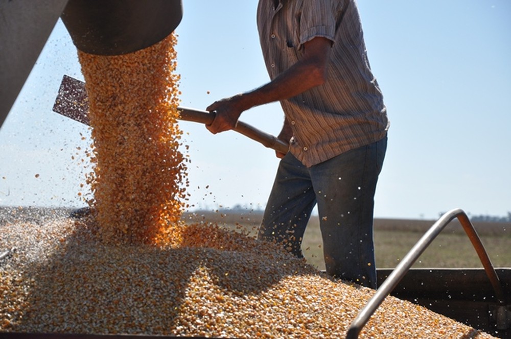 Produção de alimentos em Sergipe terá alta de 271,1% em 2019, prevê IBGE