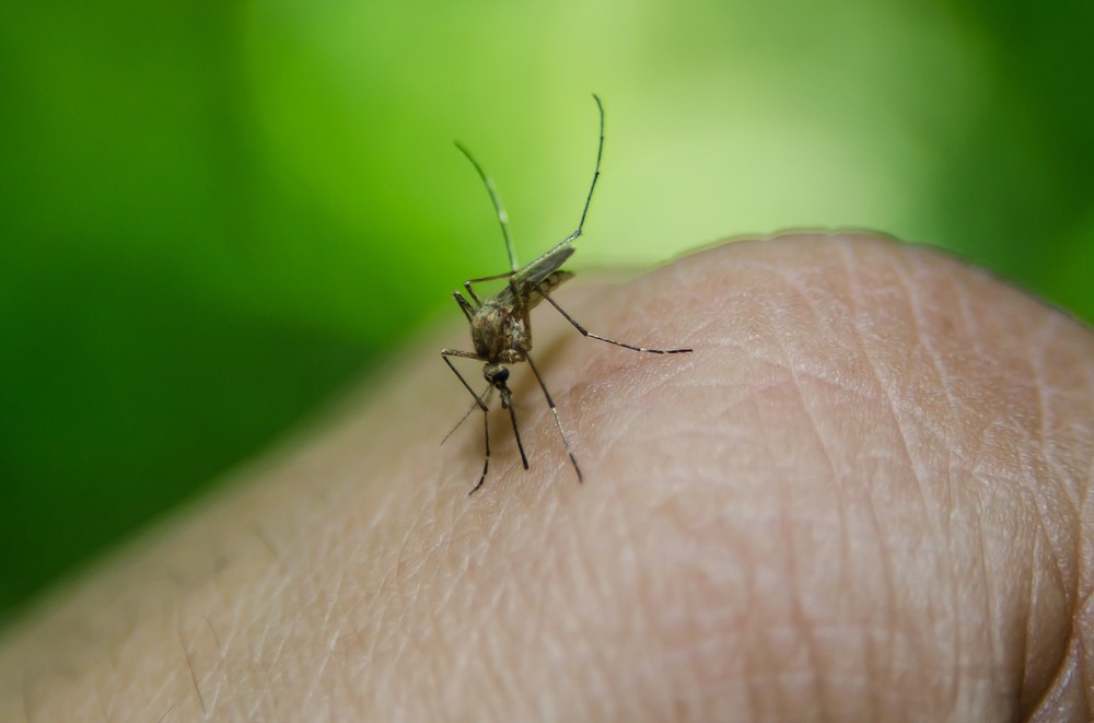 Bahia registra aumento de mais de 650% nos casos suspeitos de dengue e enfrenta falta de inseticida