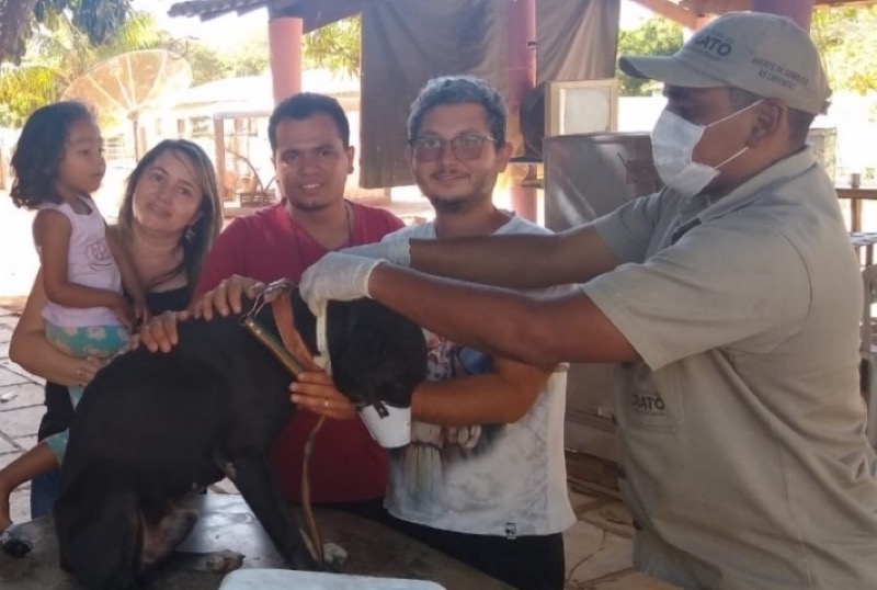 Centro de Zoonoses do Crato atuando no cuidado com os animais e na prevenção de riscos à saúde pública