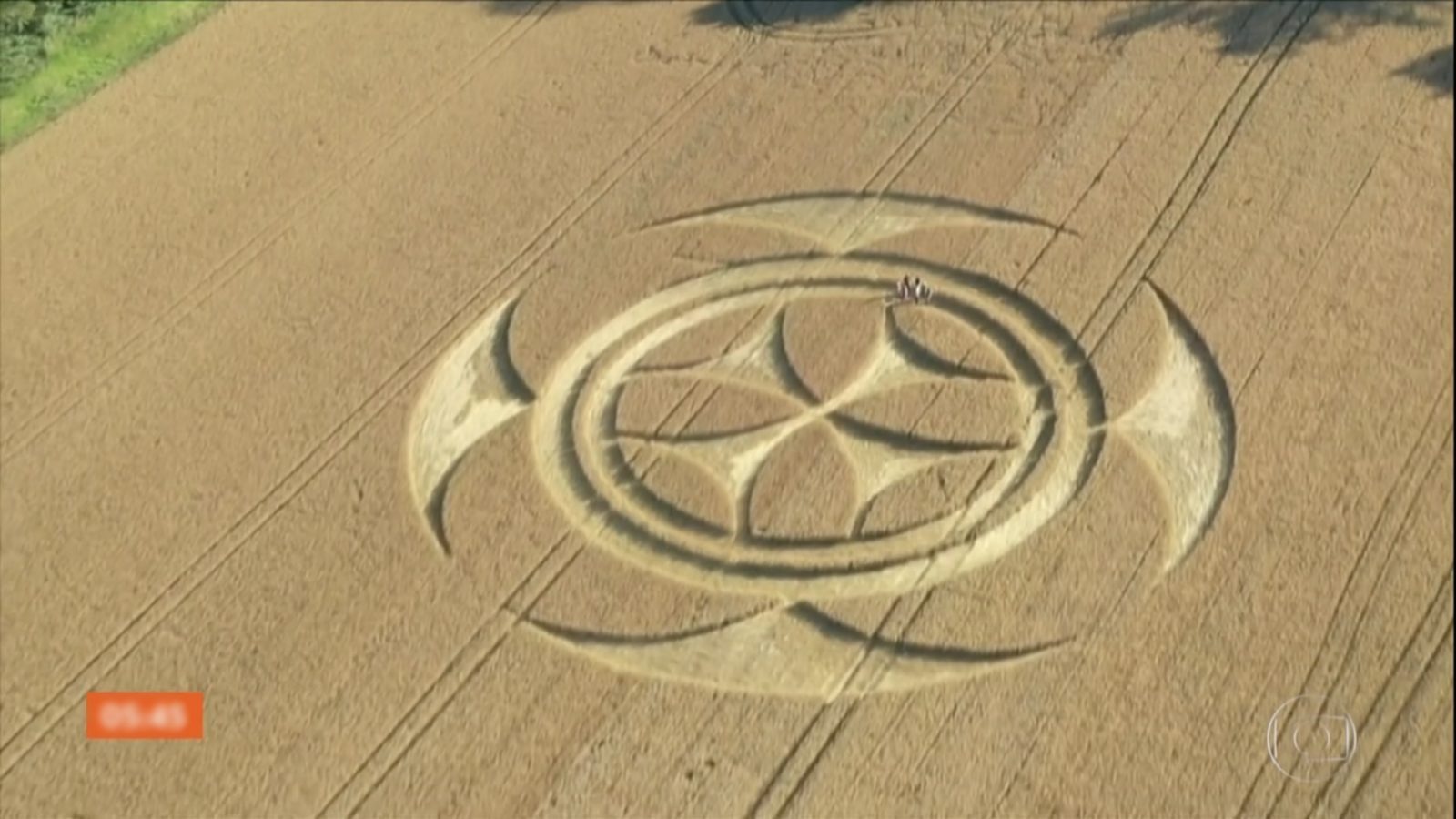 Mistério na França: marca gigante aparece em campo de trigo