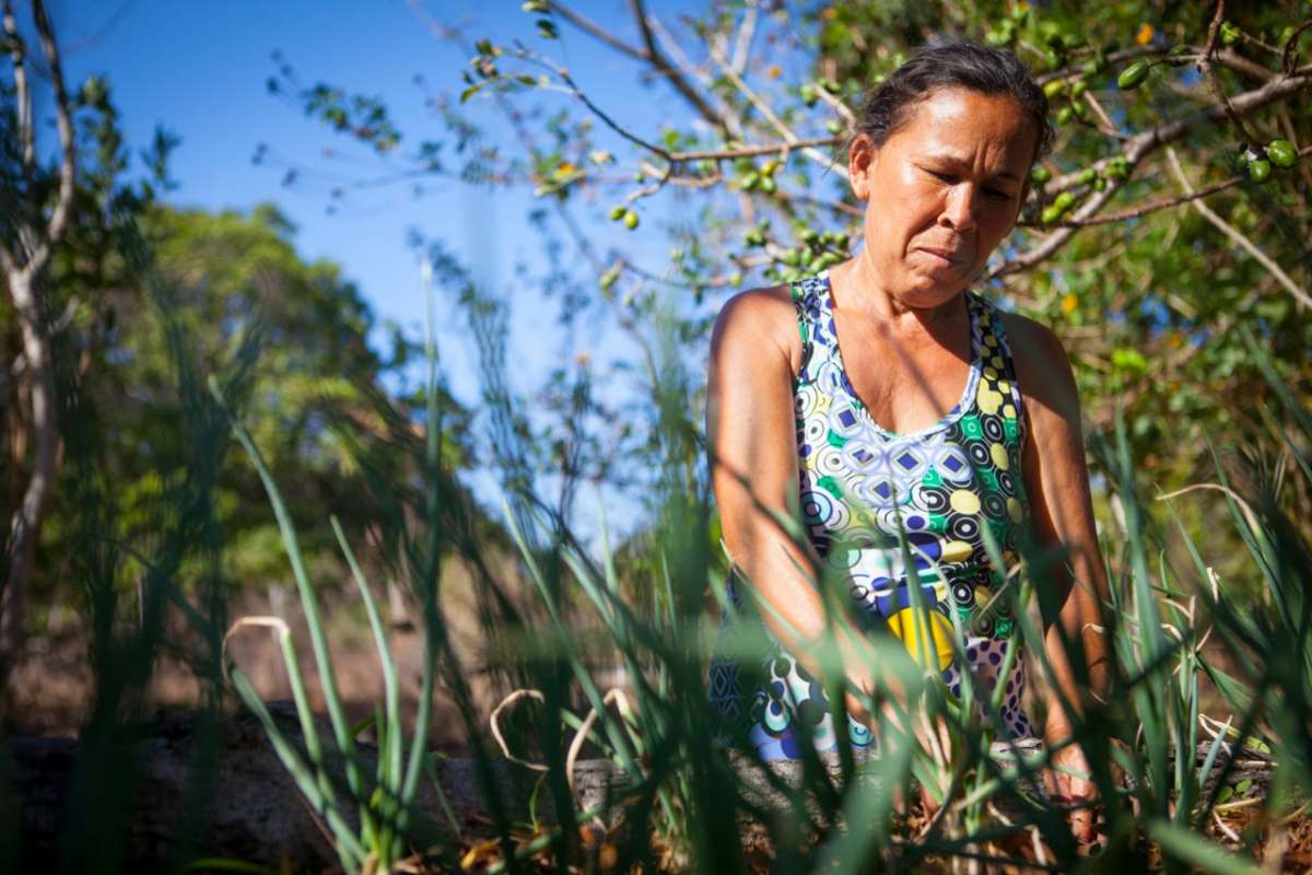 População de Itapipoca pode adquirir produtos agroecológicos sem sair de casa