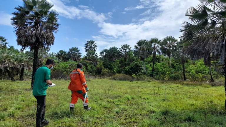 Sema celebra parceria com plano de saúde e promove plantio de mais mil mudas no Parque Botânico