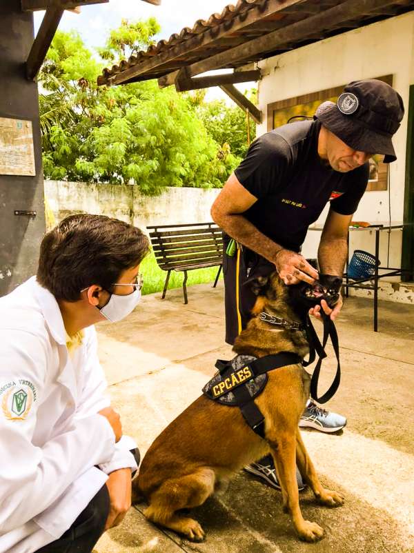 SSPDS presta homenagem aos médicos veterinários que cuidam dos animais da segurança pública