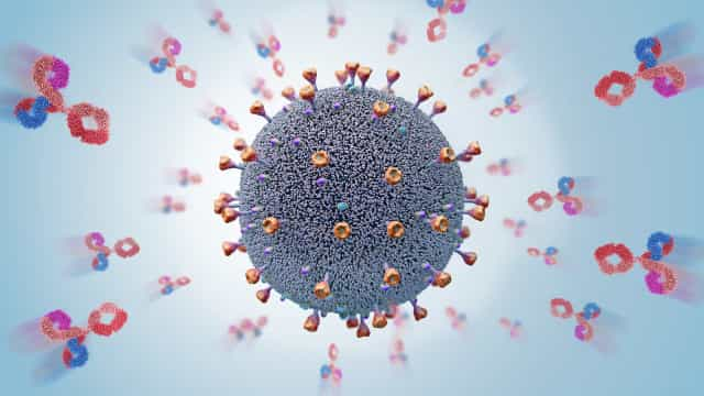 Anticorpos neutralizantes podem indicar imunidade após vacina anti-Covid, mas não provam eficácia