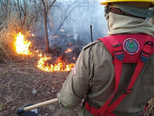 Incêndios florestais: Forças de Segurança atuam em defesa de áreas de conservação no Ceará