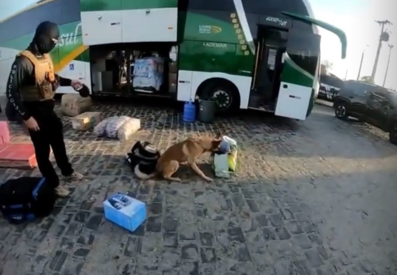 Polícia Civil prende dupla que transportava entorpecentes em ônibus clandestino em Campos Sales