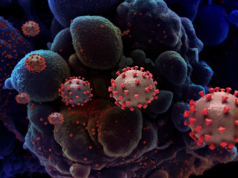 OMS monitora de perto nova variante “Mu” da Covid-19, surgida na Colômbia