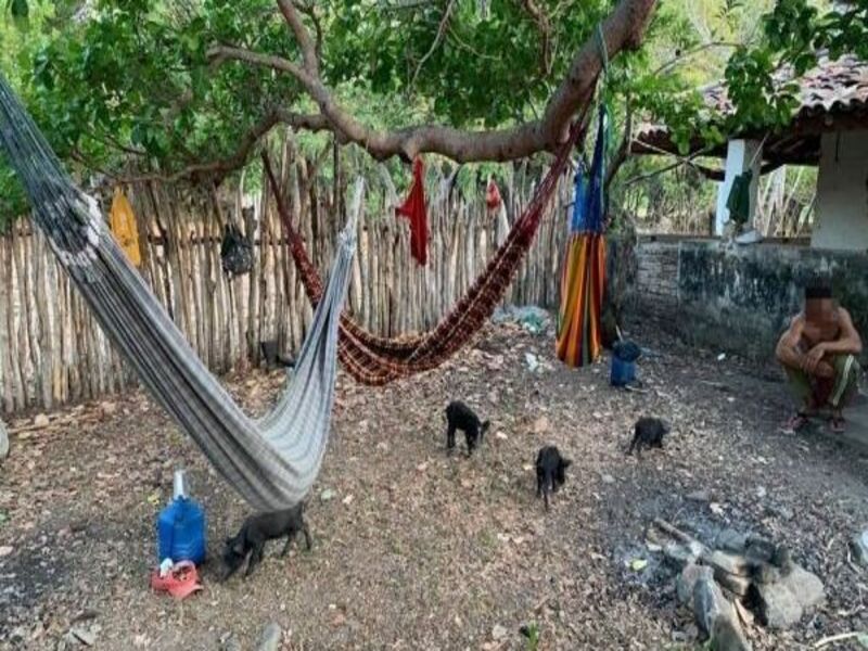 Nove pessoas são resgatadas de condições análogas à escravidão no município de Granja, no norte do Ceará