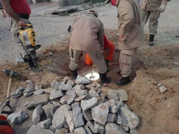 Gato é resgatado pelos bombeiros em Iguatu; quase cinco mil animais foram salvos em 2021