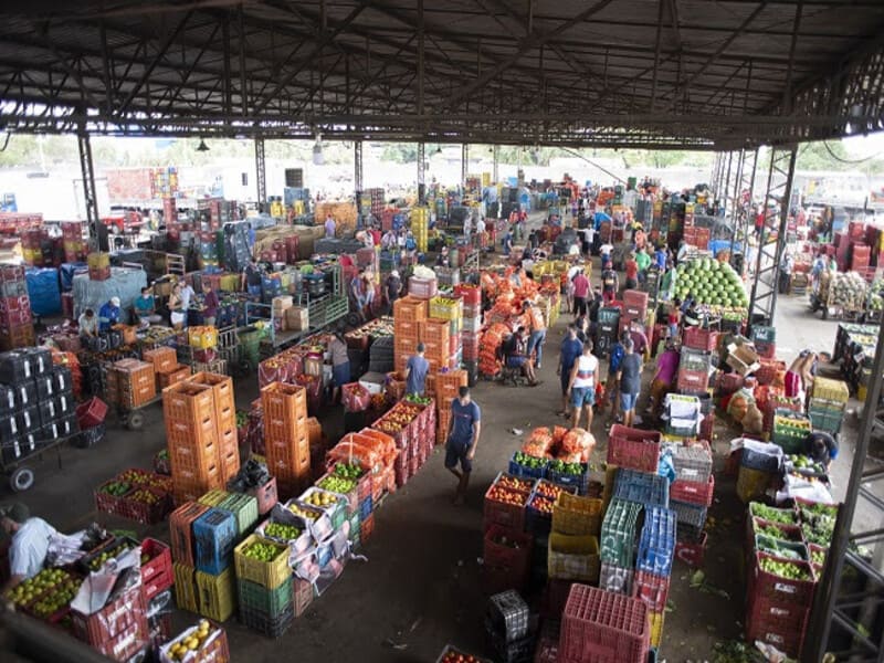 Ceasa-CE: 49 anos levando alimentos de qualidade à mesa dos cearenses