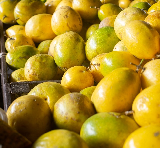 Preço do maracujá tem queda de 28,6% na Ceasa Cariri