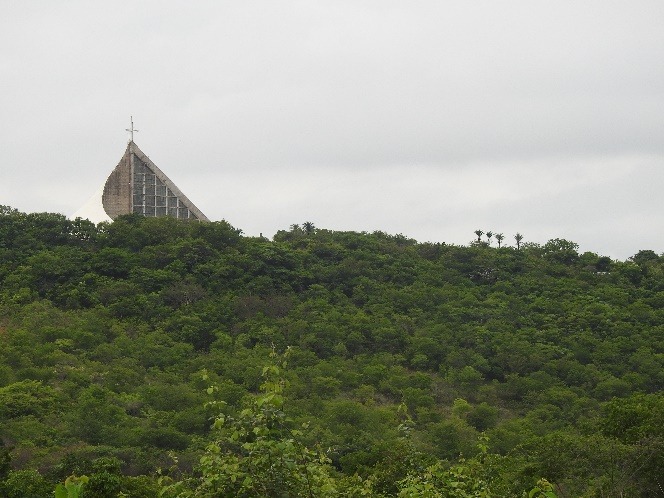 Decreto autoriza criação de Área de Proteção Ambiental no Horto do Padre Cícero