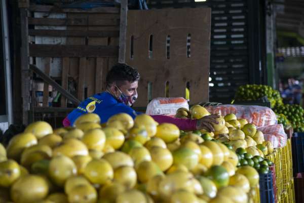 Preço do maracujá tem queda de 25% na Ceasa Cariri