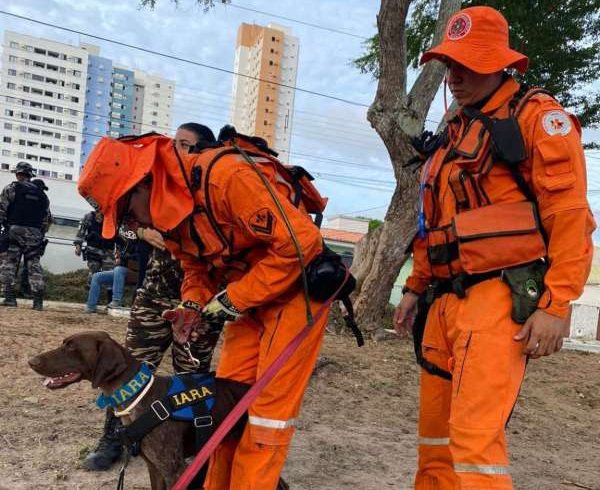 Corpo de Bombeiros forma primeiro binômio especialista em mantrailing do Ceará