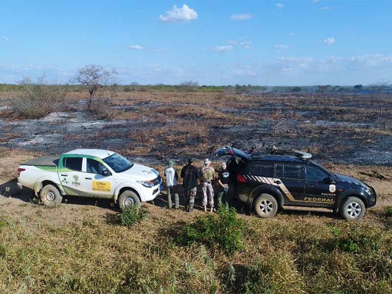 Polícia Federal flagra desmatamento na Floresta Nacional do Araripe no Município do Crato