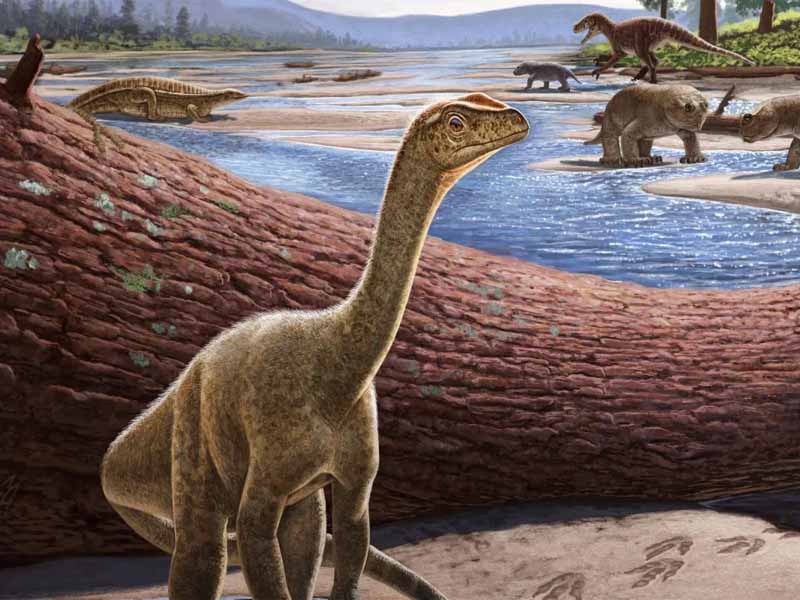 Pesquisadores descobrem dinossauro africano de mais de 200 milhões de anos