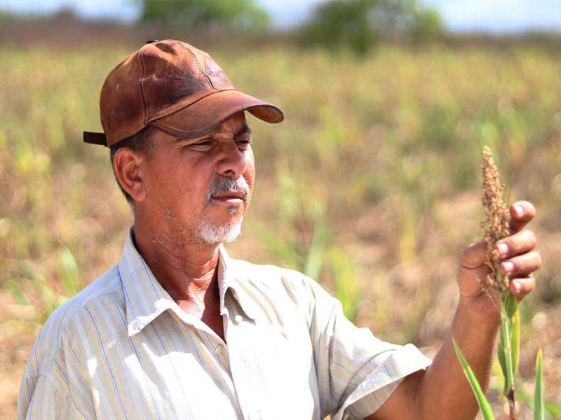 Programa Hora de Plantar é a principal meta da SDA para os primeiros 100 dias de 2023