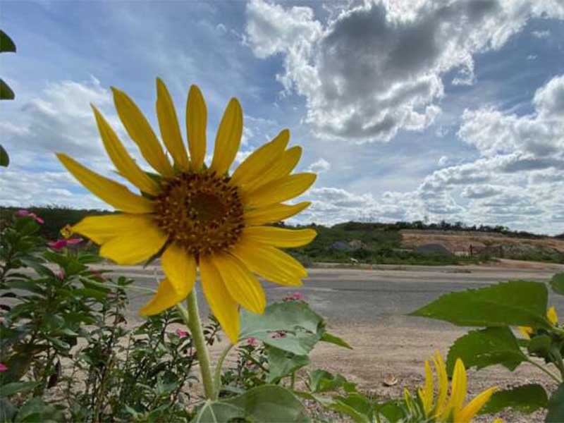 Fim de semana tem previsão de tempo mais estável, porém com chances de chuvas pontuais